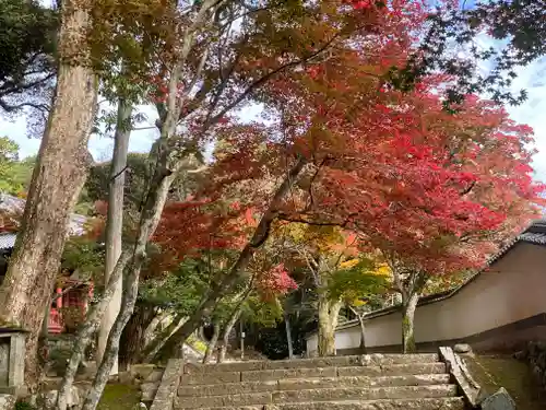 光明寺(兵庫県)
