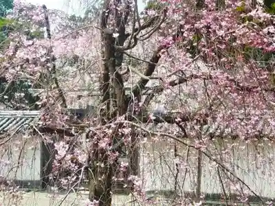 三宝院（三宝院門跡）(京都府)