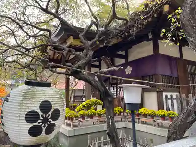牛天神北野神社のその他建物