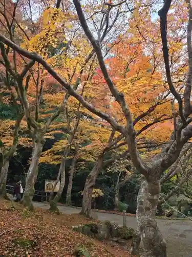 高徳庵　(最勝院）(京都府)