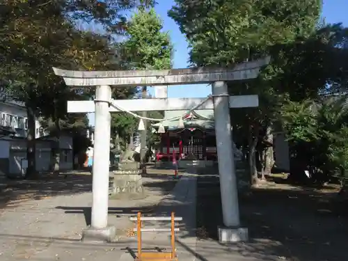 本多八幡神社(東京都)