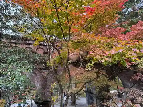 南禅院(京都府)