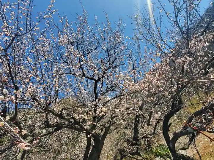 稲荷神社(借宿町)(栃木県)