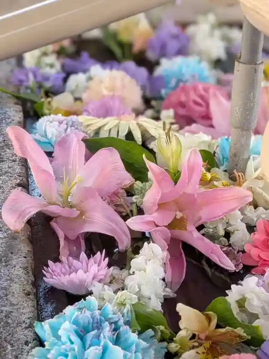 鳩森八幡神社(東京都)