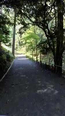 鞍馬寺(京都府)