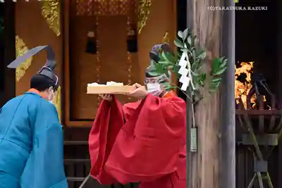 阿佐ヶ谷神明宮(東京都)