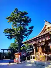 中野沼袋氷川神社(東京都)