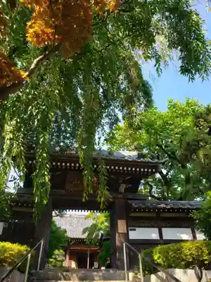 法輪寺の山門・神門