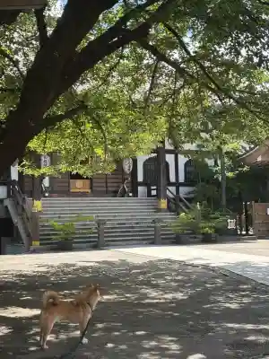 感通寺の{uncategorized: "未分類", other: "その他", undefined: "問題あり", building: "その他建物", grave: "お墓", sacred_gate: "鳥居", guardian: "狛犬", statue: "像", buddha: "仏像", history: "歴史", nature: "自然", garden: "庭園", animal: "動物", pagoda: "塔", temizu: "手水舎", mountain_gate: "山門・神門", sanctuary: "本殿・本堂", subordinate: "末社・摂社", art: "芸術", scenery: "景色", jizo: "地蔵", ema: "絵馬", goshuin: "御朱印", omikuji: "おみくじ", items: "授与品その他", amulet: "お守り", goshuincho: "御朱印帳", eats: "食事", festival: "お祭り", votive_dance: "神楽", shichigosan: "七五三参", wedding: "結婚式", experience: "体験その他", initially: "初詣", around: "周辺", anti_infection: "感染症対策"}