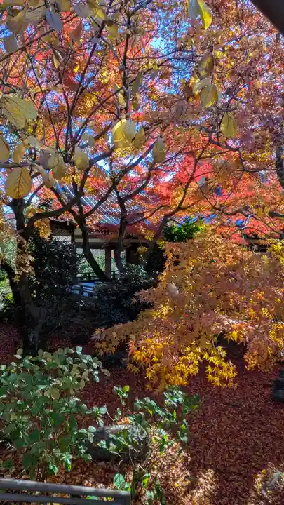 法金剛院(京都府)