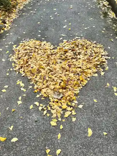 神藏寺(京都府)