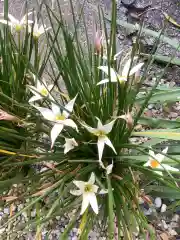 三輪神社の自然