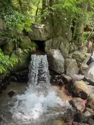 椿大神社の{uncategorized: "未分類", other: "その他", undefined: "問題あり", building: "その他建物", grave: "お墓", sacred_gate: "鳥居", guardian: "狛犬", statue: "像", buddha: "仏像", history: "歴史", nature: "自然", garden: "庭園", animal: "動物", pagoda: "塔", temizu: "手水舎", mountain_gate: "山門・神門", sanctuary: "本殿・本堂", subordinate: "末社・摂社", art: "芸術", scenery: "景色", jizo: "地蔵", ema: "絵馬", goshuin: "御朱印", omikuji: "おみくじ", items: "授与品その他", amulet: "お守り", goshuincho: "御朱印帳", eats: "食事", festival: "お祭り", votive_dance: "神楽", shichigosan: "七五三参", wedding: "結婚式", experience: "体験その他", initially: "初詣", around: "周辺", anti_infection: "感染症対策"}