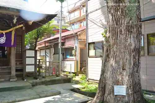 子神社(神奈川県)