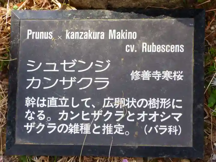 楽法寺(雨引観音)の自然