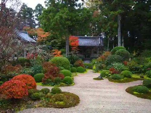 龍潭寺の庭園