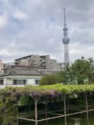 亀戸天神社(東京都)