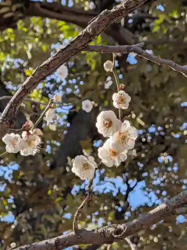 新井天神北野神社(東京都)
