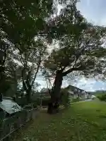 高根神社(長野県)