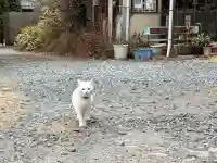 神咒寺の{uncategorized: "未分類", other: "その他", undefined: "問題あり", building: "その他建物", grave: "お墓", sacred_gate: "鳥居", guardian: "狛犬", statue: "像", buddha: "仏像", history: "歴史", nature: "自然", garden: "庭園", animal: "動物", pagoda: "塔", temizu: "手水舎", mountain_gate: "山門・神門", sanctuary: "本殿・本堂", subordinate: "末社・摂社", art: "芸術", scenery: "景色", jizo: "地蔵", ema: "絵馬", goshuin: "御朱印", omikuji: "おみくじ", items: "授与品その他", amulet: "お守り", goshuincho: "御朱印帳", eats: "食事", festival: "お祭り", votive_dance: "神楽", shichigosan: "七五三参", wedding: "結婚式", experience: "体験その他", initially: "初詣", around: "周辺", anti_infection: "感染症対策"}