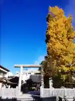 池袋御嶽神社(東京都)