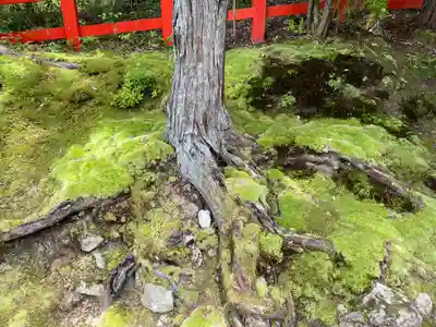 八大神社(京都府)