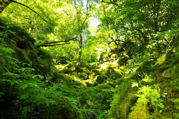 劔神社(徳島県)