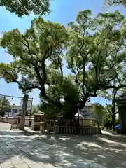 杭全神社(大阪府)