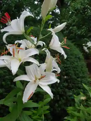 千勝神社(茨城県)