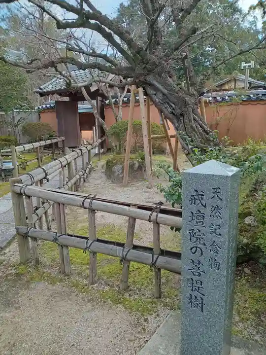 戒壇院(福岡県)