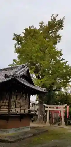 半田稲荷神社の鳥居