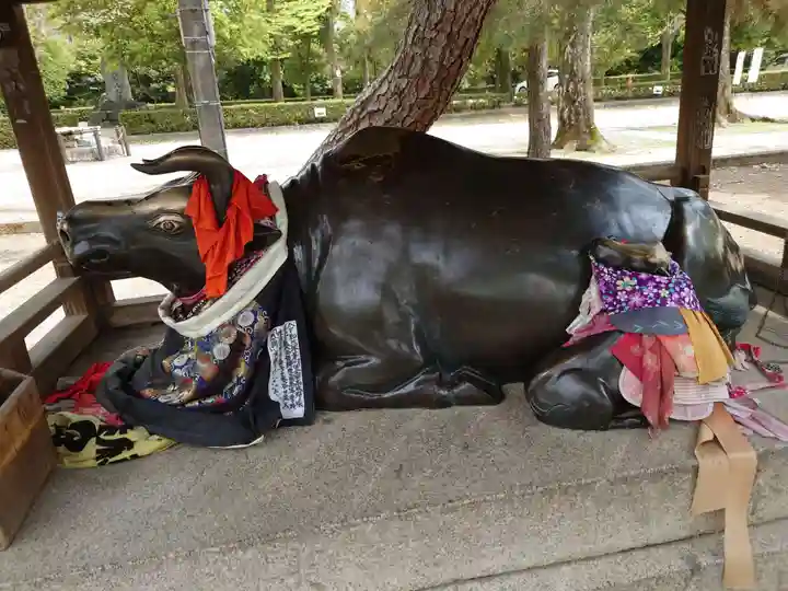北野天満宮の狛犬