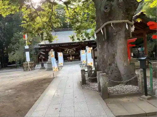 新田神社(東京都)