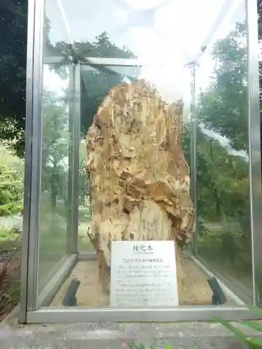 よみうりランド観音(東京都)