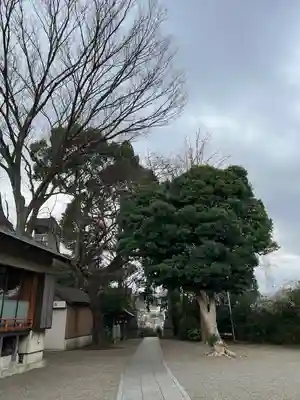 日吉神社(神奈川県)