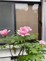 梅香寺(三重県)