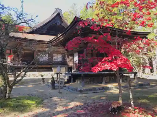 壇上伽藍の建物その他