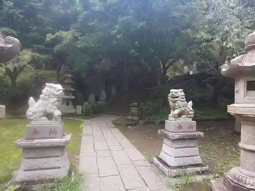 建長寺 半僧坊の狛犬