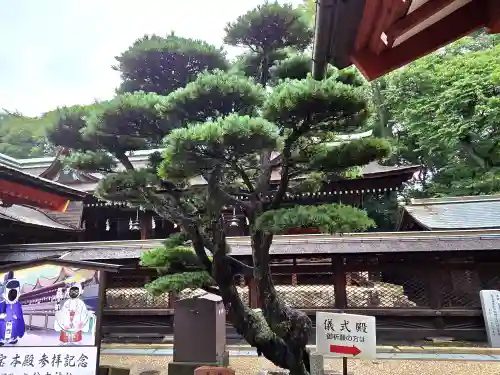 住吉神社(山口県)