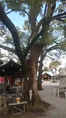 古知野神社(愛知県)