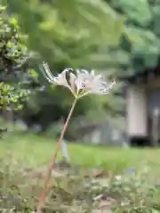 伊勢の国 四天王寺の自然