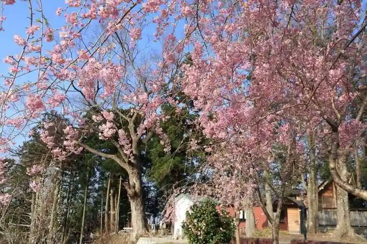阿久津「田村神社」(郡山市阿久津町)旧社名:伊豆箱根三嶋三社の庭園