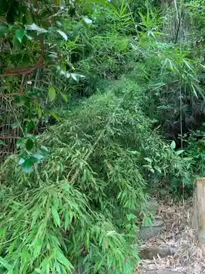 三峯神社(千葉県)