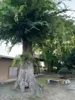 岡登霊神社(群馬県)