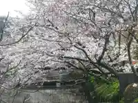 鶴岡八幡宮の自然