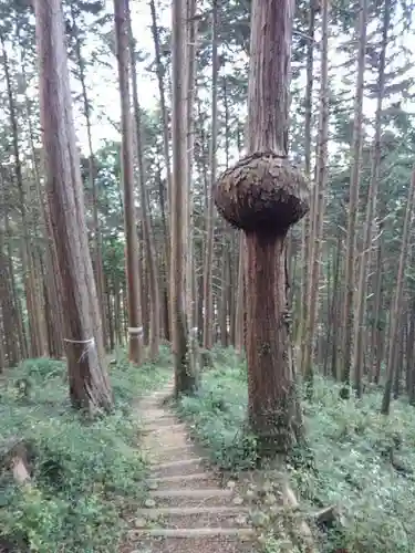 今熊神社の庭園