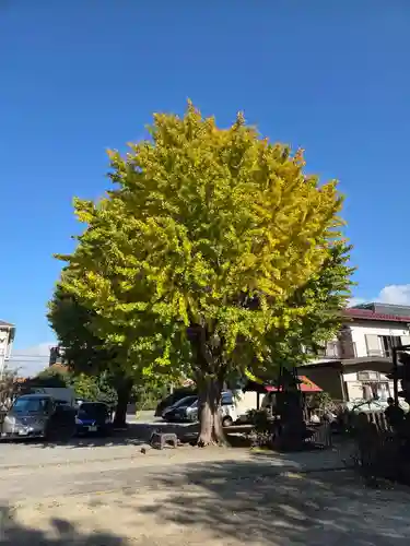 大師稲荷神社(神奈川県)
