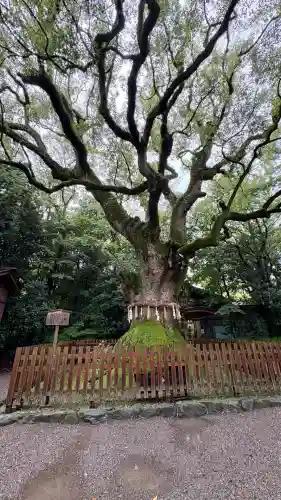 熱田神宮(愛知県)