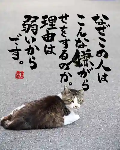 専念寺(大阪府)