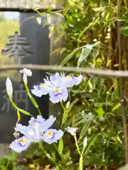 別所神社(長野県)